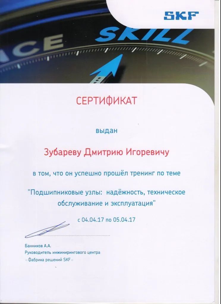ZubarevSKF1.jpg