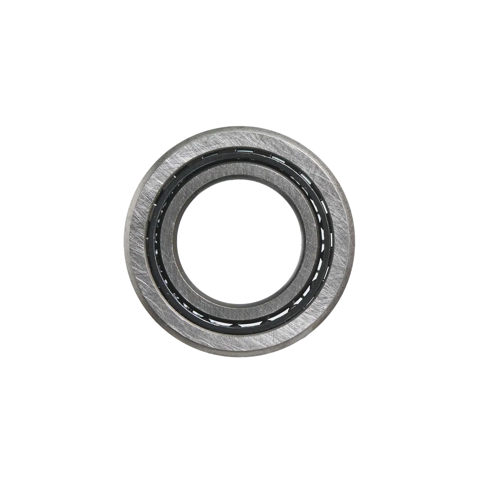 Подшипник NKI60/25-XL